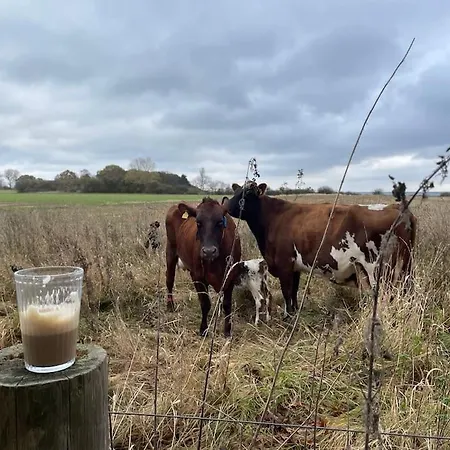 Havlykkegaard - En Unik Gammel Dame Ved Ostersoen Idestrup