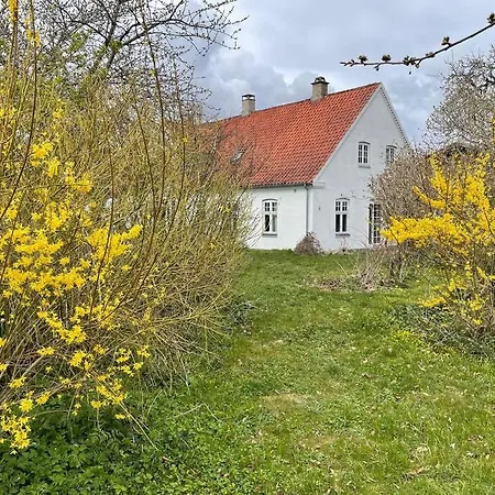 Havlykkegaard - En Unik Gammel Dame Ved Ostersoen